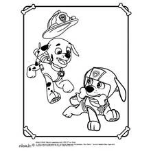 Dibujo para colorear: Paw Patrol (Dibujos Animados y Series Animadas) #44245 - Dibujos para Colorear e Imprimir Gratis