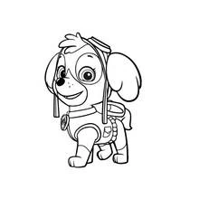 Dibujo para colorear: Paw Patrol (Dibujos Animados y Series Animadas) #44324 - Dibujos para Colorear e Imprimir Gratis