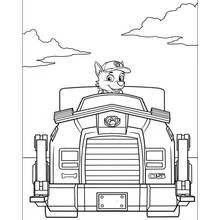 Dibujo para colorear: Paw Patrol (Dibujos Animados y Series Animadas) #44341 - Dibujos para Colorear e Imprimir Gratis