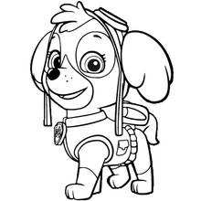 Dibujo para colorear: Paw Patrol (Dibujos Animados y Series Animadas) #44352 - Dibujos para Colorear e Imprimir Gratis
