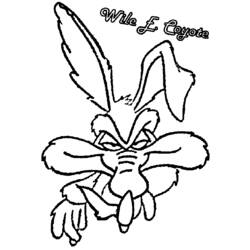 Dibujo para colorear: Road Runner y Wile E. Coyote (Dibujos Animados y Series Animadas) #47162 - Dibujos para Colorear e Imprimir Gratis