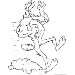 Dibujo para colorear: Road Runner y Wile E. Coyote (Dibujos Animados y Series Animadas) #47311 - Dibujos para Colorear e Imprimir Gratis