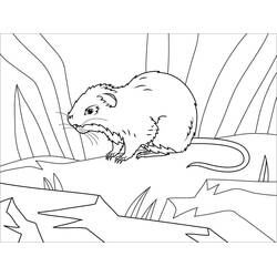 Dibujo para colorear: The Daltons (Dibujos Animados y Series Animadas) #209948 - Dibujos para Colorear e Imprimir Gratis