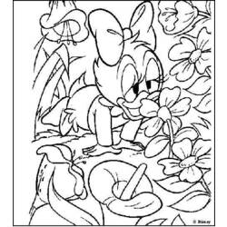 Dibujo para colorear: Donald Duck (Dibujos animados) #30182 - Dibujos para Colorear e Imprimir Gratis