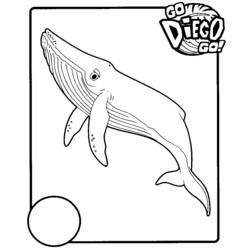 Dibujo para colorear: Go Diego! (Dibujos animados) #48534 - Dibujos para Colorear e Imprimir Gratis