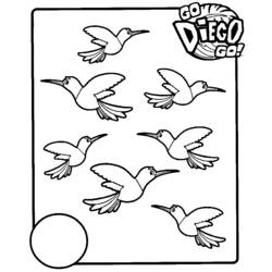 Dibujo para colorear: Go Diego! (Dibujos animados) #48538 - Dibujos para Colorear e Imprimir Gratis