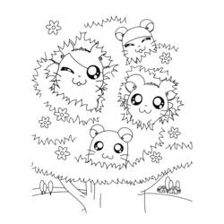 Dibujo para colorear: Hamtaro (Dibujos animados) #40192 - Dibujos para Colorear e Imprimir Gratis