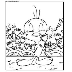 Dibujo para colorear: Looney Tunes (Dibujos animados) #39294 - Dibujos para Colorear e Imprimir Gratis