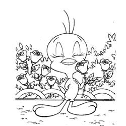 Dibujo para colorear: Tweety and Sylvester (Dibujos animados) #29351 - Dibujos para Colorear e Imprimir Gratis