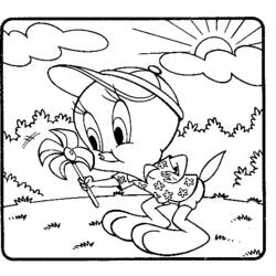 Dibujo para colorear: Tweety and Sylvester (Dibujos animados) #29366 - Dibujos para Colorear e Imprimir Gratis