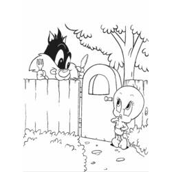 Dibujo para colorear: Tweety and Sylvester (Dibujos animados) #29401 - Dibujos para Colorear e Imprimir Gratis