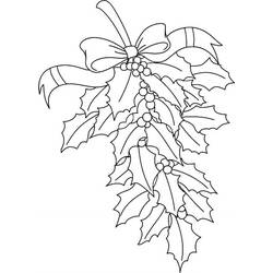 Dibujo para colorear: Acebo de Navidad (Fiestas y Celebraciones) #217571 - Dibujos para Colorear e Imprimir Gratis