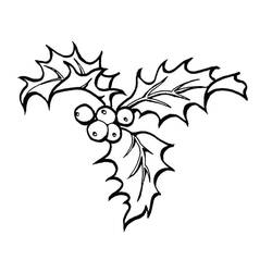 Dibujo para colorear: Acebo de Navidad (Fiestas y Celebraciones) #217585 - Dibujos para Colorear e Imprimir Gratis