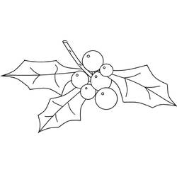 Dibujo para colorear: Acebo de Navidad (Fiestas y Celebraciones) #217590 - Dibujos para Colorear e Imprimir Gratis