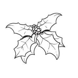 Dibujo para colorear: Acebo de Navidad (Fiestas y Celebraciones) #217595 - Dibujos para Colorear e Imprimir Gratis
