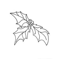 Dibujo para colorear: Acebo de Navidad (Fiestas y Celebraciones) #217596 - Dibujos para Colorear e Imprimir Gratis