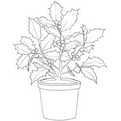 Dibujo para colorear: Acebo de Navidad (Fiestas y Celebraciones) #217598 - Dibujos para Colorear e Imprimir Gratis