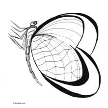 Dibujo Día de San Valentín (Fiestas y Celebraciones) #54020 para imprimir y colorear