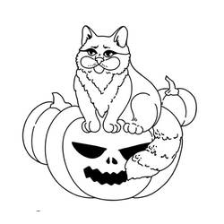 Dibujo para colorear: Gato de Halloween (Fiestas y Celebraciones) #203979 - Dibujos para Colorear e Imprimir Gratis