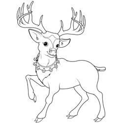 Dibujos para colorear: Reno de Navidad - Dibujos para Colorear e Imprimir Gratis