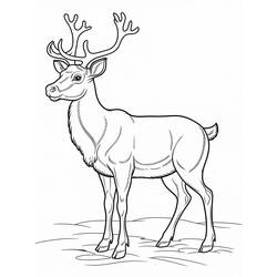 Dibujo para colorear: Reno de Navidad (Fiestas y Celebraciones) #215790 - Dibujos para Colorear e Imprimir Gratis