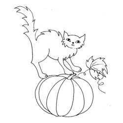 Dibujo para colorear: Halloween (Fiestas y ocasiones especiales) #55405 - Dibujos para Colorear e Imprimir Gratis