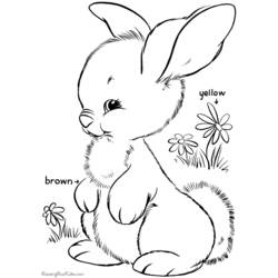 Dibujo para colorear: Pascua (Fiestas y ocasiones especiales) #54434 - Dibujos para Colorear e Imprimir Gratis