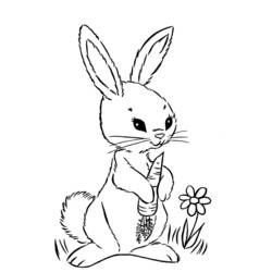 Dibujo para colorear: Pascua (Fiestas y ocasiones especiales) #54569 - Dibujos para Colorear e Imprimir Gratis