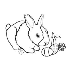 Dibujo para colorear: Pascua (Fiestas y ocasiones especiales) #54595 - Dibujos para Colorear e Imprimir Gratis