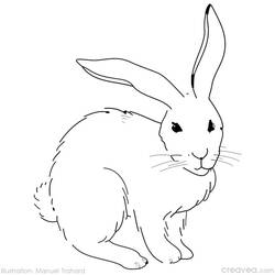 Dibujo para colorear: Pascua (Fiestas y ocasiones especiales) #54719 - Dibujos para Colorear e Imprimir Gratis