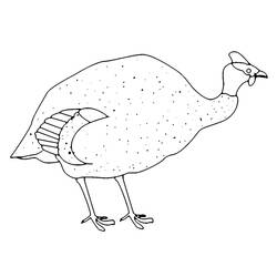 Dibujos para colorear: Guinea - Dibujos para Colorear e Imprimir Gratis