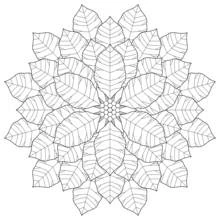 Dibujo Mandalas de Flores (Mandalas) #117053 para imprimir y colorear