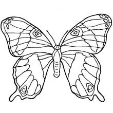 Dibujo para colorear: Mandalas de Mariposas (Mandalas) #117396 - Dibujos para Colorear e Imprimir Gratis
