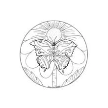 Dibujo para colorear: Mandalas de Mariposas (Mandalas) #117404 - Dibujos para Colorear e Imprimir Gratis