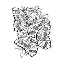 Dibujo para colorear: Mandalas de Mariposas (Mandalas) #117423 - Dibujos para Colorear e Imprimir Gratis