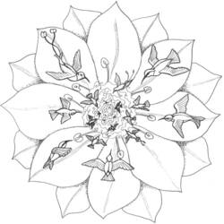 Dibujo para colorear: Mandalas Flores (Mandalas) #117044 - Dibujos para colorear