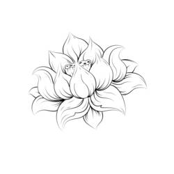 Dibujo para colorear: Mandalas Flores (Mandalas) #117153 - Dibujos para colorear
