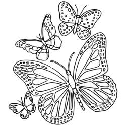 Dibujo para colorear: Mandalas Mariposa (Mandalas) #117400 - Dibujos para colorear