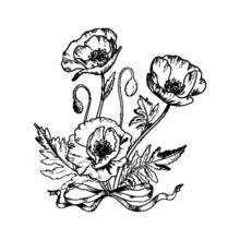 Dibujo para colorear: Amapola (Naturaleza y Estaciones) #162442 - Dibujos para Colorear e Imprimir Gratis
