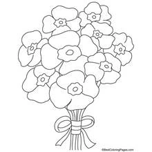 Dibujo para colorear: Amapola (Naturaleza y Estaciones) #162458 - Dibujos para Colorear e Imprimir Gratis