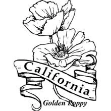 Dibujo para colorear: Amapola (Naturaleza y Estaciones) #162477 - Dibujos para Colorear e Imprimir Gratis