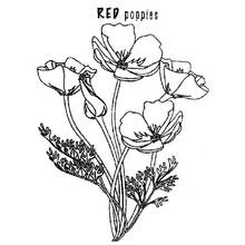 Dibujo para colorear: Amapola (Naturaleza y Estaciones) #162492 - Dibujos para Colorear e Imprimir Gratis