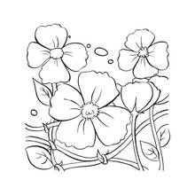 Dibujo para colorear: Amapola (Naturaleza y Estaciones) #162509 - Dibujos para Colorear e Imprimir Gratis