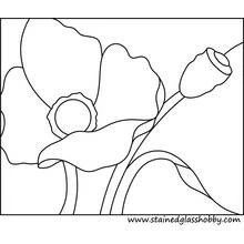 Dibujo para colorear: Amapola (Naturaleza y Estaciones) #162555 - Dibujos para Colorear e Imprimir Gratis
