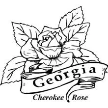 Dibujo para colorear: Amapola (Naturaleza y Estaciones) #162559 - Dibujos para Colorear e Imprimir Gratis