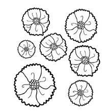 Dibujo para colorear: Amapola (Naturaleza y Estaciones) #162607 - Dibujos para Colorear e Imprimir Gratis