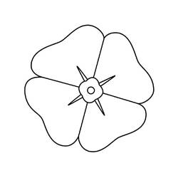 Dibujo para colorear: Amapola (Naturaleza y Estaciones) #182352 - Dibujos para Colorear e Imprimir Gratis