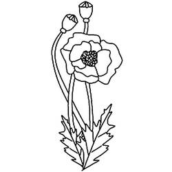 Dibujo para colorear: Amapola (Naturaleza y Estaciones) #182362 - Dibujos para Colorear e Imprimir Gratis