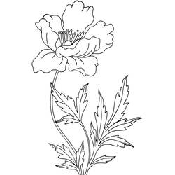 Dibujo para colorear: Amapola (Naturaleza y Estaciones) #182370 - Dibujos para Colorear e Imprimir Gratis
