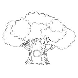 Dibujo para colorear: Árbol (Naturaleza y Estaciones) #154688 - Dibujos para Colorear e Imprimir Gratis